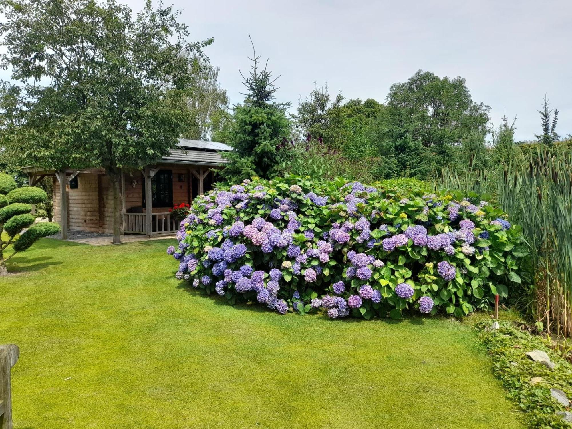 Appel Lodge Diessen Exterior foto